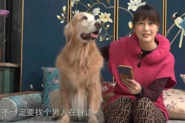 周海媚宠物狗狗,周海媚生前养的4个狗狗被曝光了