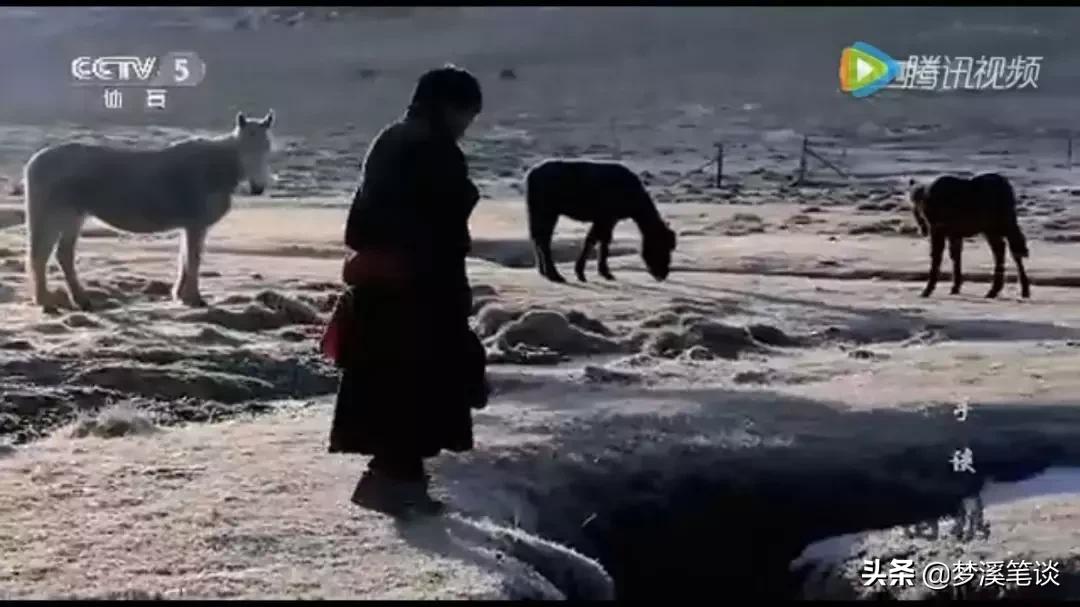 玩·围棋：星罗棋布，纵横人生