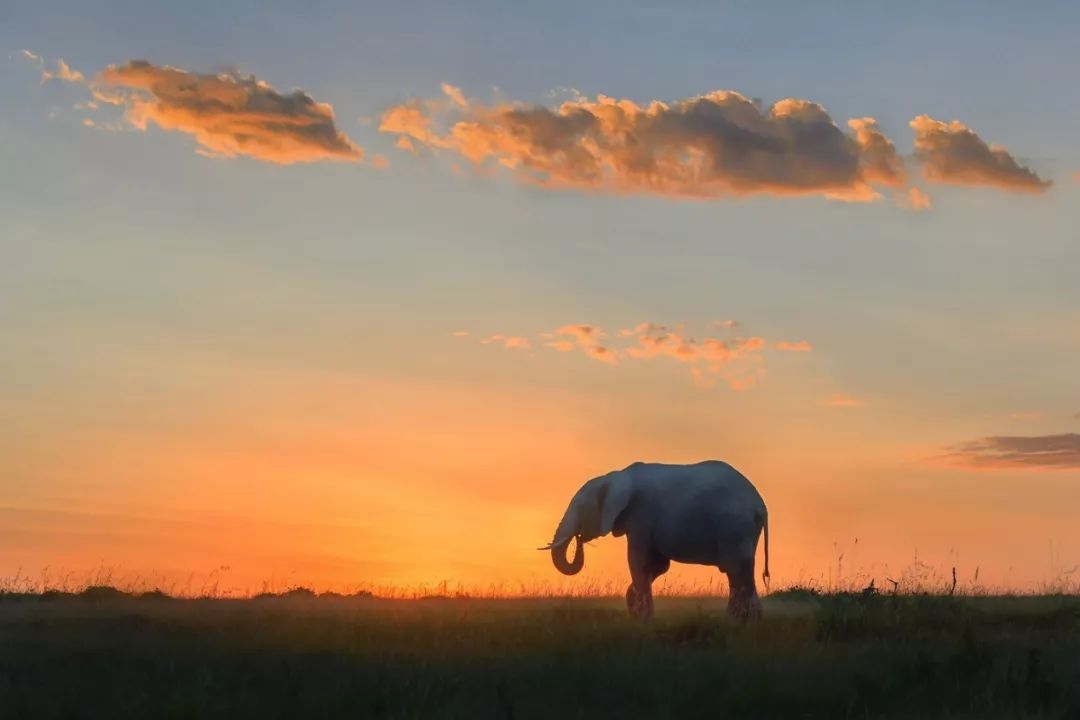 摄影师杰夫专访：Z系列微单相机轻便可靠，让野外拍摄更加放心