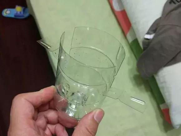 大水瓶扦插生根神器,室内用塑料瓶扦插生根最快方法