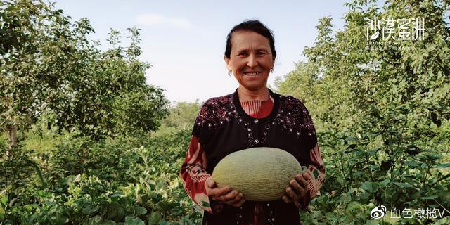 盘点十大新疆的特产,新疆有哪些受欢迎的水果
