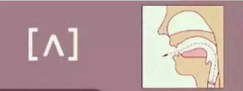 为什么弹幕全是中文模式,弹幕为什么在英文中不流行