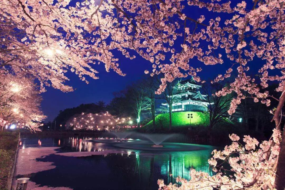 日本赏樱花前三名城市,日本樱花排行榜