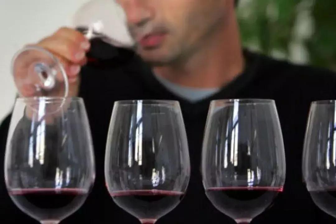 奔富389和407有什么区别？