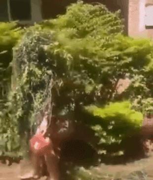 鐤儏鏈熼棿鑺卞紡浣滄,鐤儏鏈熼棿浣滄鐨勪汉