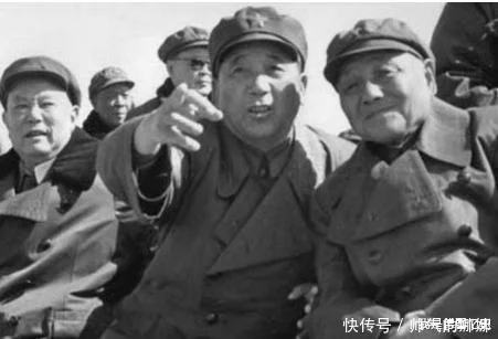 俏也不争春只把春来报,俏也不争春原诗