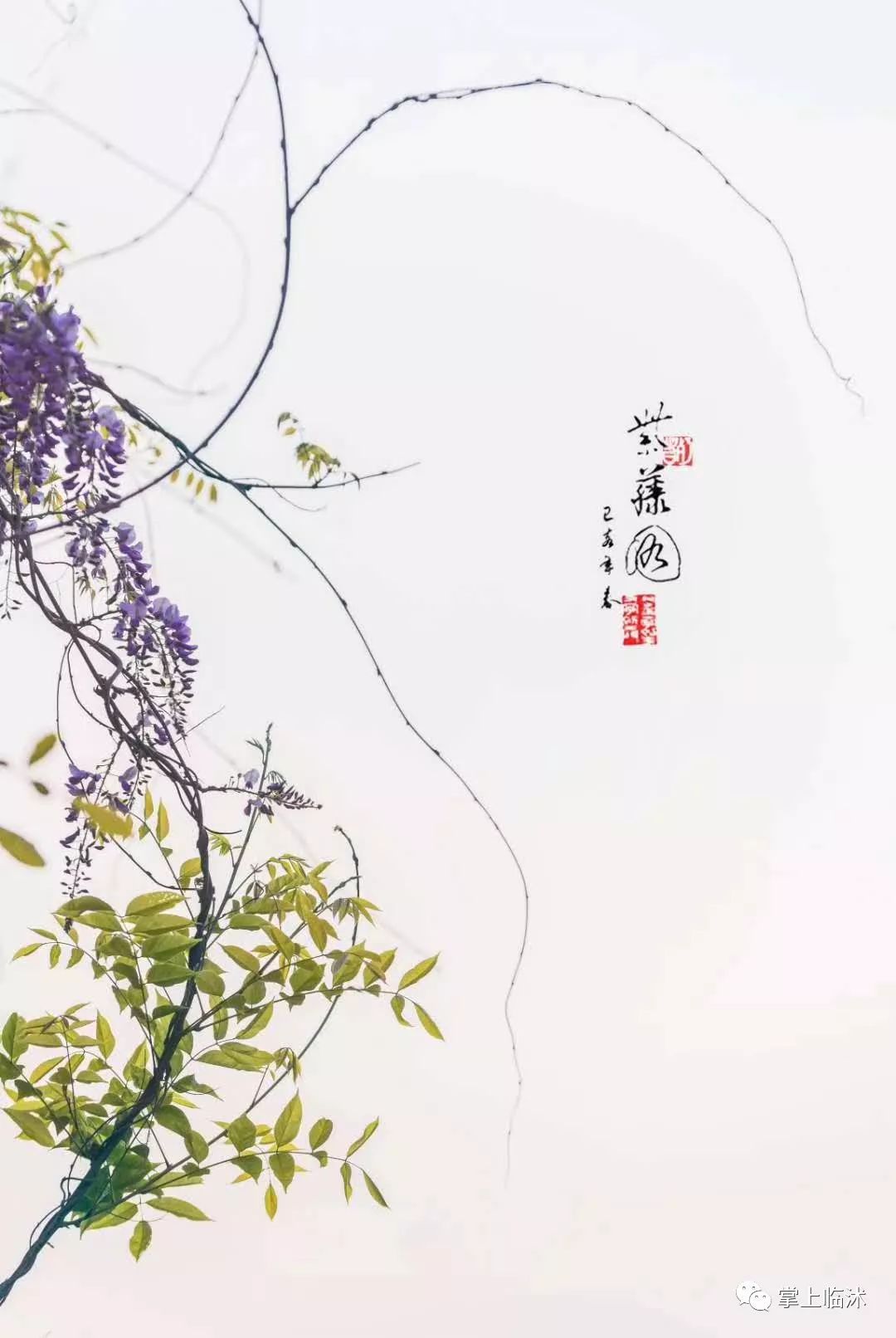 航拍最美临沭,临沭最美风景