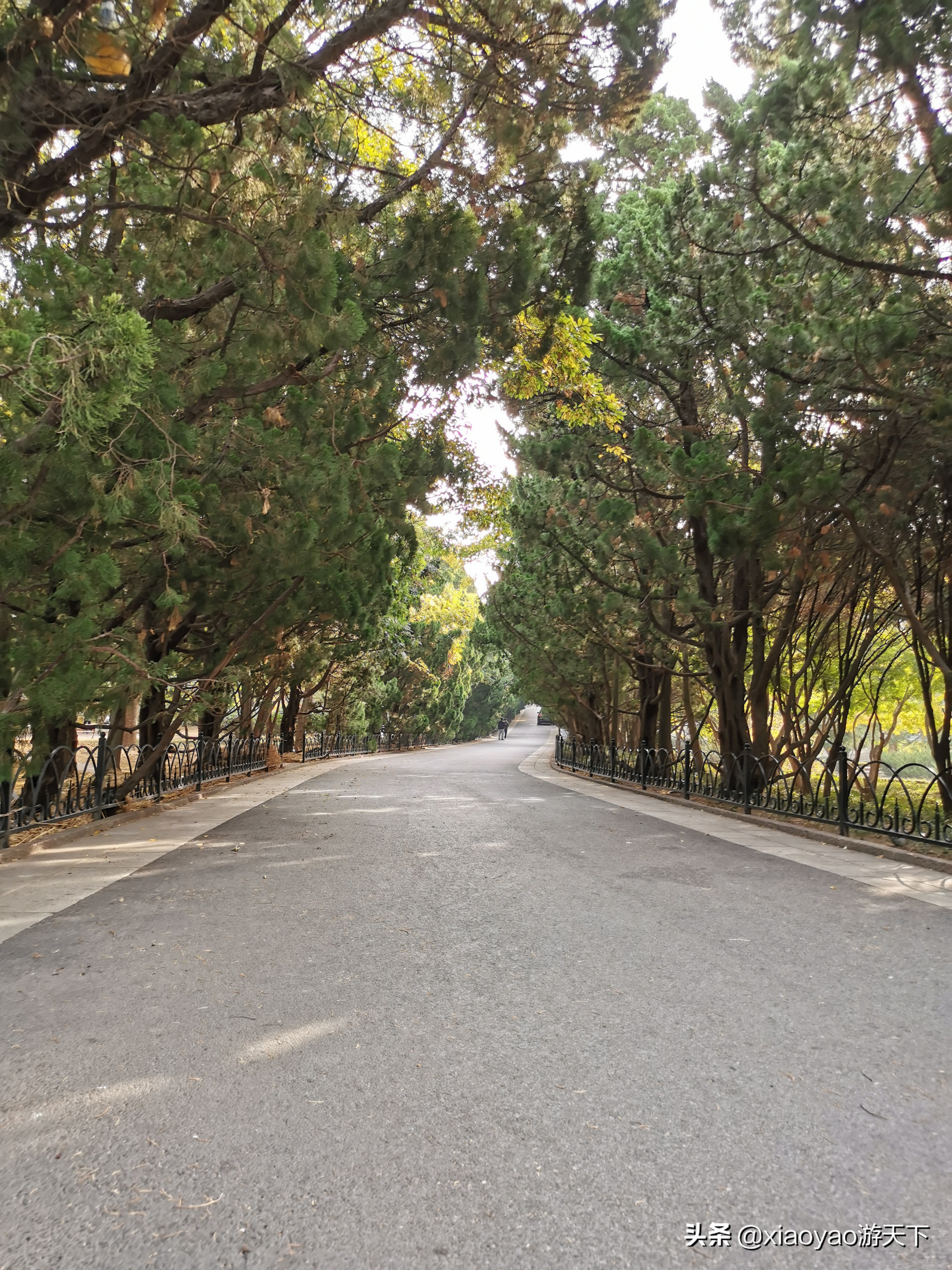 青岛八大关将军楼,青岛八大关风景区