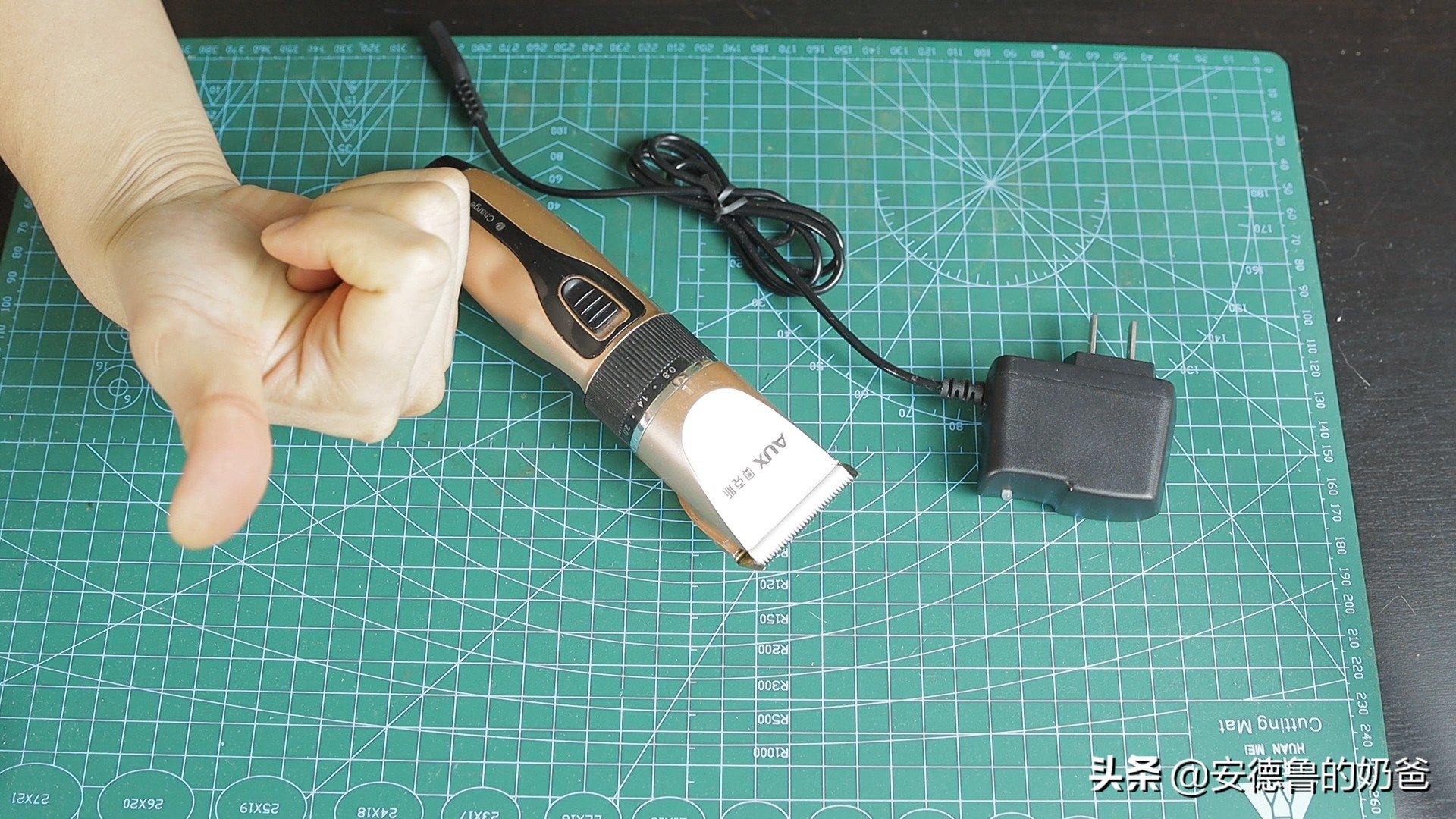 春日vlog完整版,春日vlog竖版