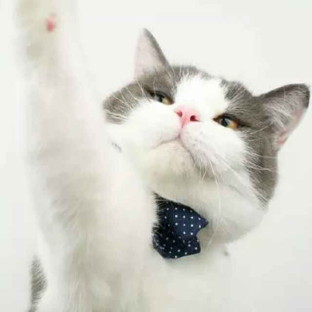 快速适应环境的方法,努力适应不适应的环境