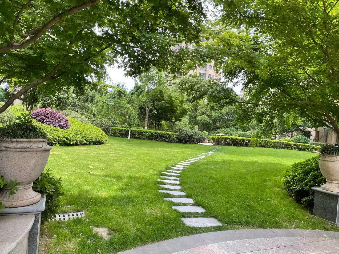 探秘合肥更受欢迎的主题公园,合肥宝藏小区