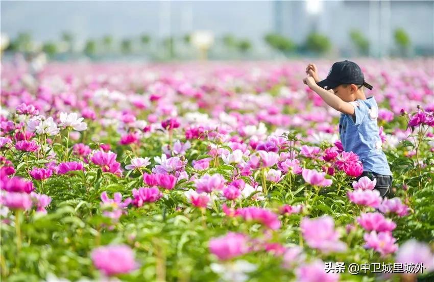 宁夏最穷人口最少的市,宁夏最富的县vs宁夏最穷的县