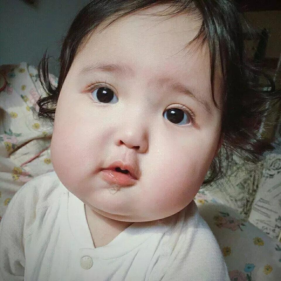 谢飞机随身携带的小绿包,谢飞机表情包视频