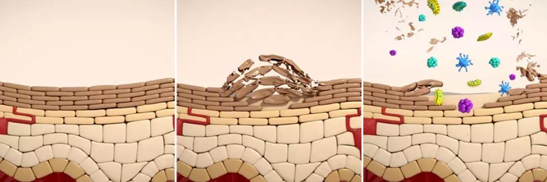 补水喷雾真实测评,平价补水喷雾真实测评