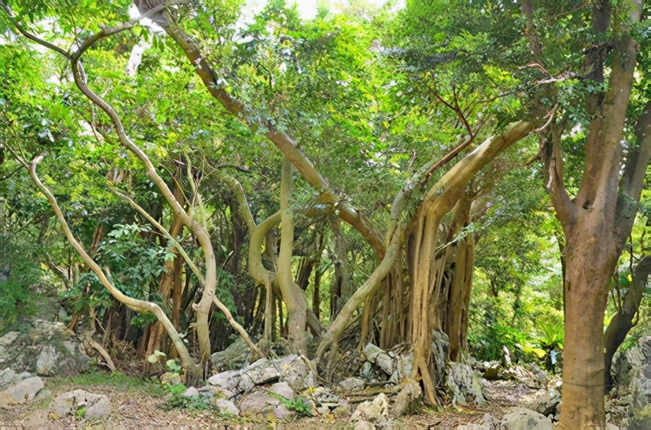 冲绳离岛推荐,冲绳本岛离岛