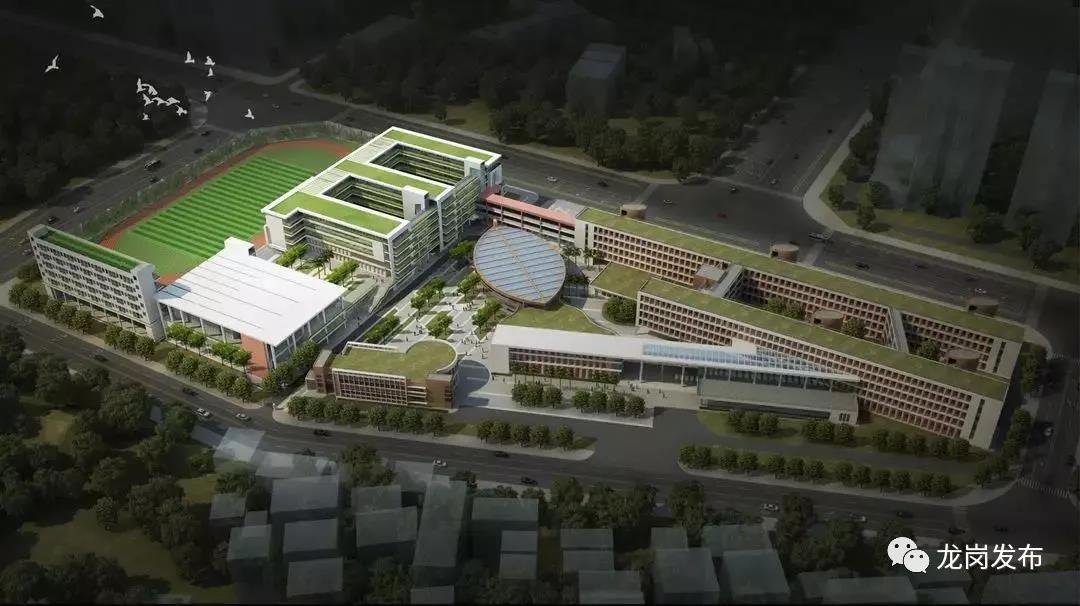 深圳这个区将增2所大学,深圳目前重点发展的几个区域