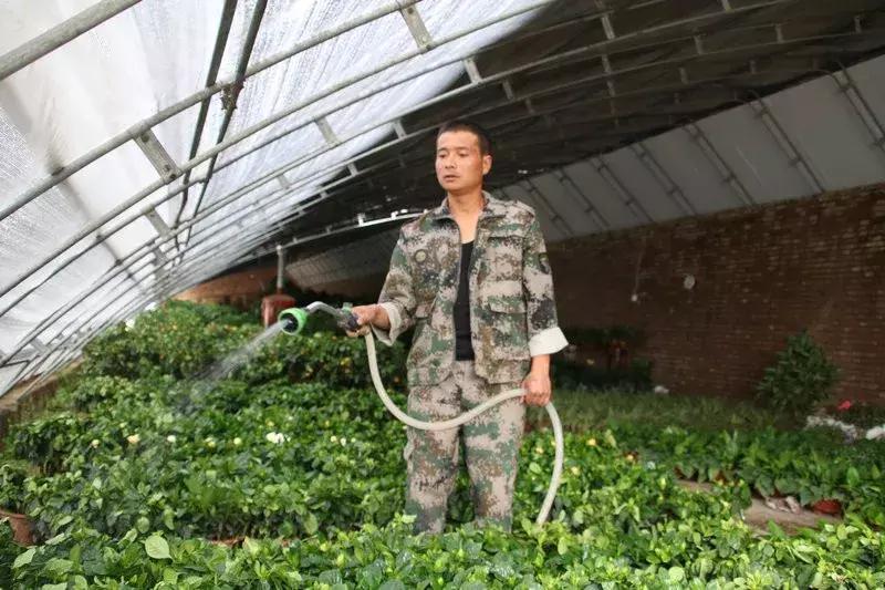 湘妹子的“花世界”——记黄陵县妇女创业能手张凤姣