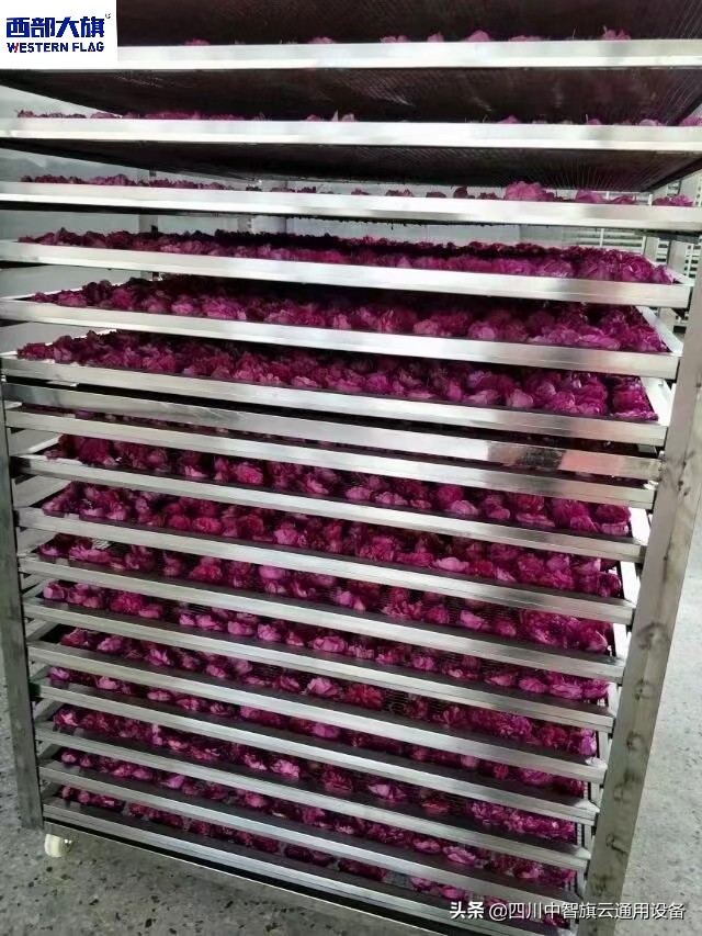 西部大旗烘干房,贵州玫瑰花烘干机价格表