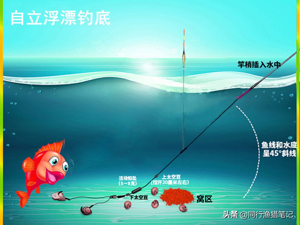 撞珠式浮漂好用吗,螺旋尾浮漂如何既能钓底也能钓浮