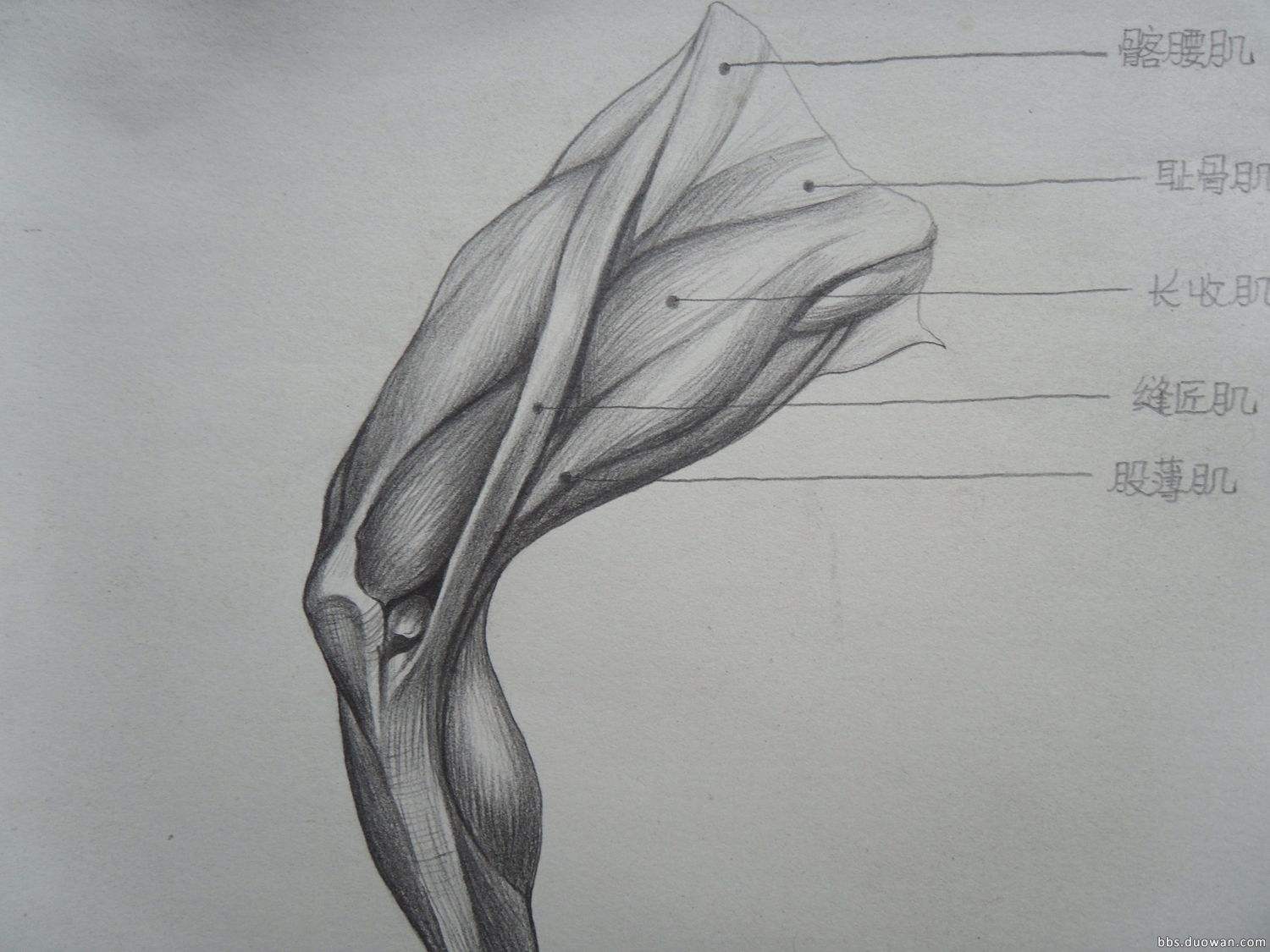 肌肉腿怎么瘦又快又有效,肌肉腿如何快速瘦下来