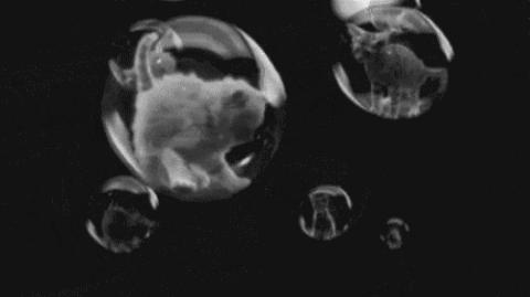 怎么让白羊座男生越来越喜欢你,怎样让狮子男生越来越喜欢你