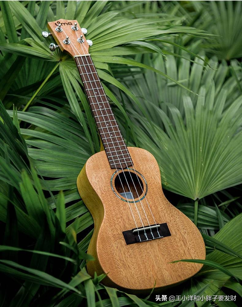 初学者怎么选择尤克里里,初学者怎么选尤克里里