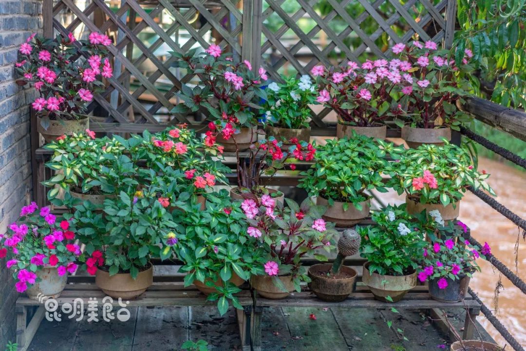 昆明高原明珠牛头宴,昆明附近哪里有世外桃源