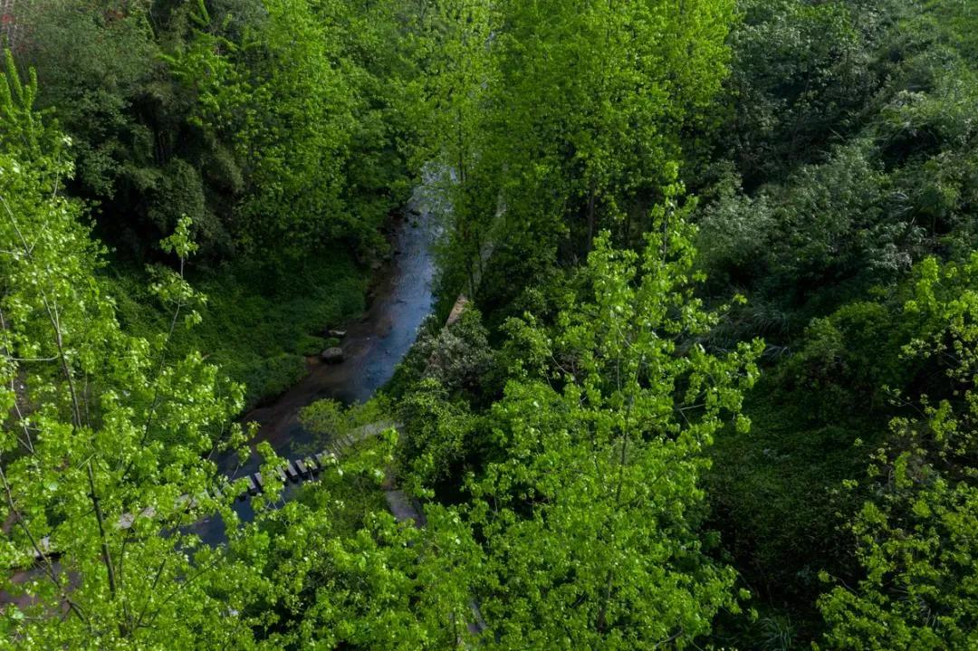 为什么余光中的乡愁流传千古,为什么余光中不回国