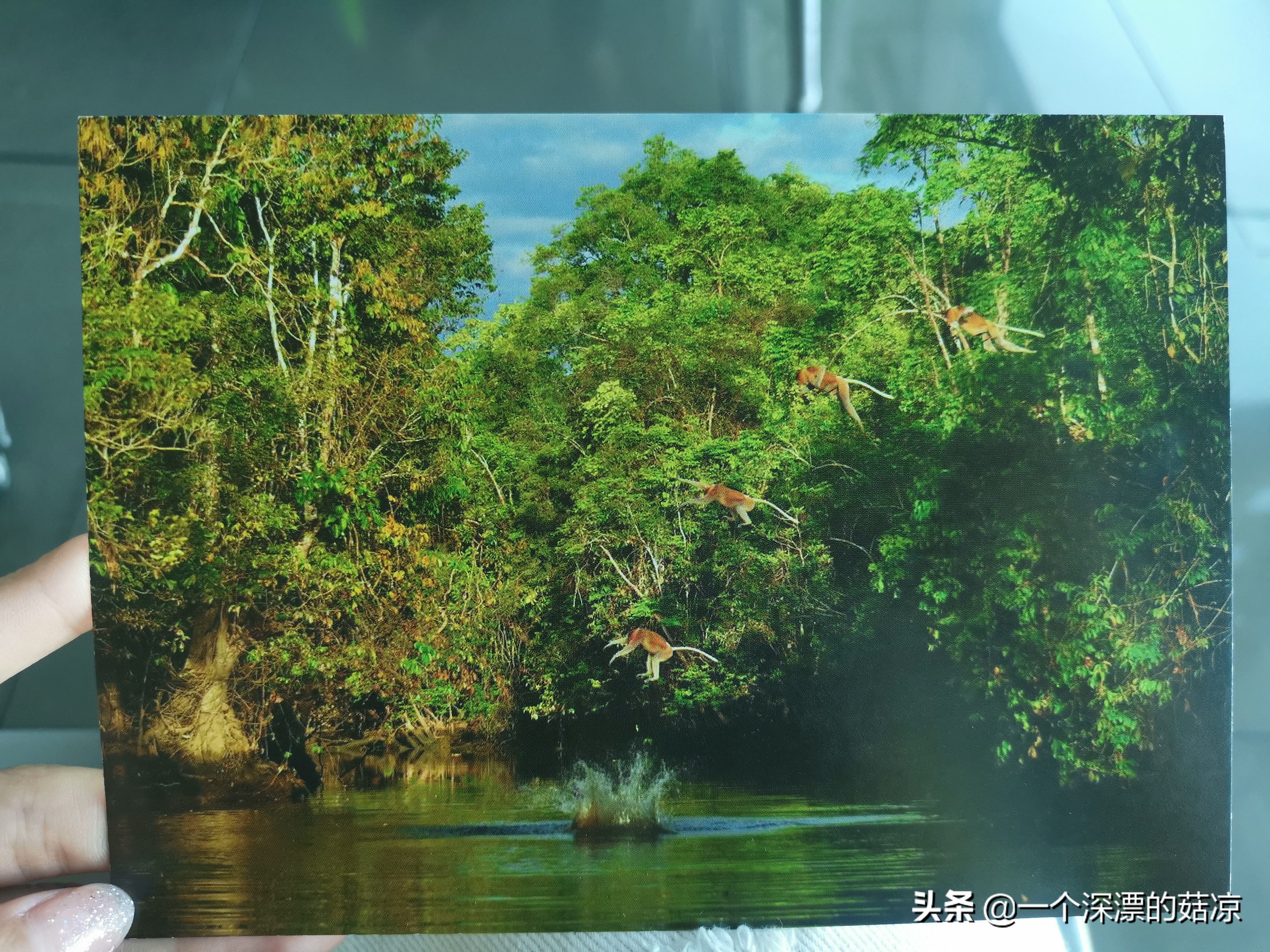 在夏天结束前去海边,在夏天结束之前去一次海边