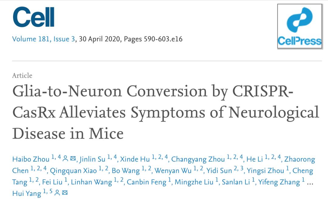 中科院杨辉最终承认剽窃他人,中科院杨辉学术抄袭