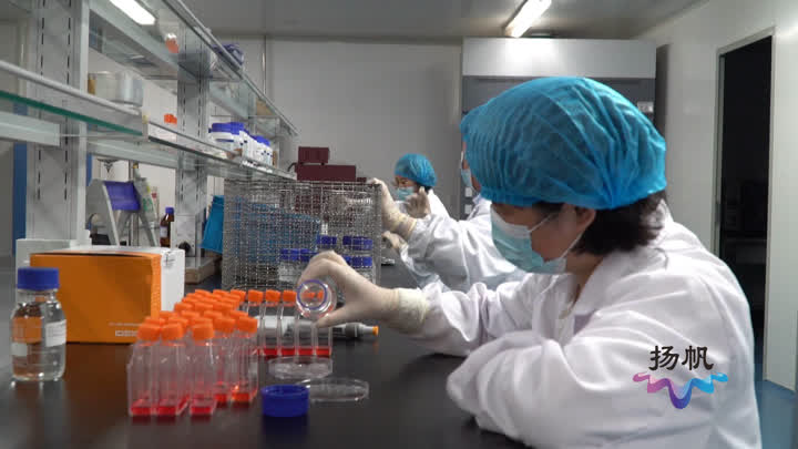 邗江区：“药片+芯片”齐发力战略新兴产业引领一季度工业经济开门红