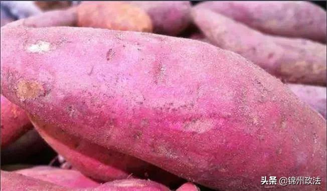 沈阳有什么特色农产品,辽宁省14个市县特产农产品