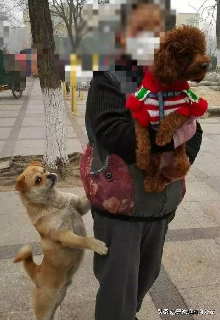 “割声带、截肢、电击,当爱变成我的噩梦”