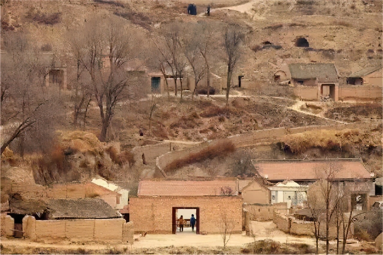 没有狗血和卖惨，这部扶贫剧靠什么收割了全网的眼泪？