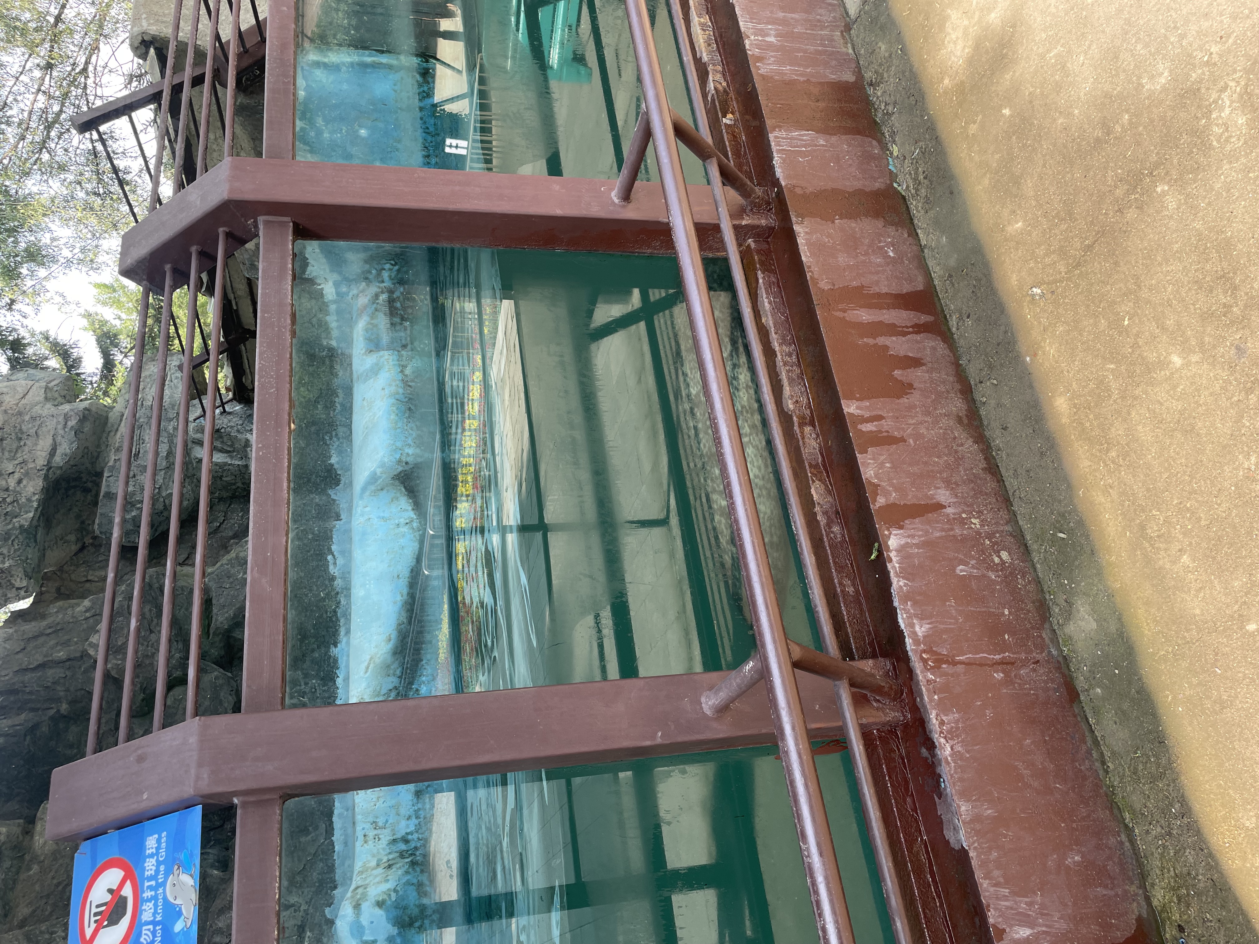 沈阳森林动物园春游,五一小长假去沈阳森林动物园游玩