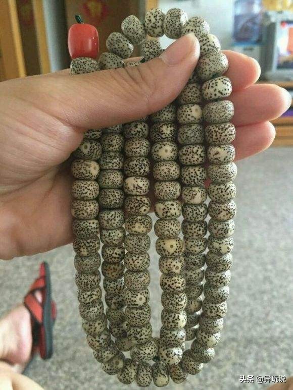 星月菩提十二大禁忌,新手星月菩提适合买多大的