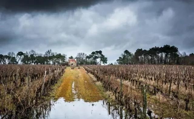 葡萄酒分级aop和aoc的区别,欧盟葡萄酒分级制度第一级别