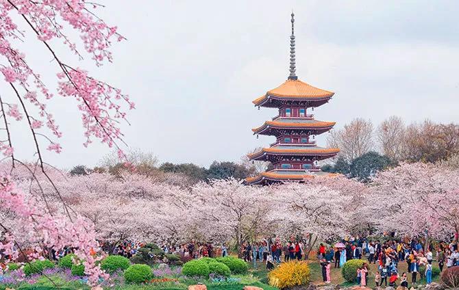 火神山外“生死之交”再相逢,武汉,你好