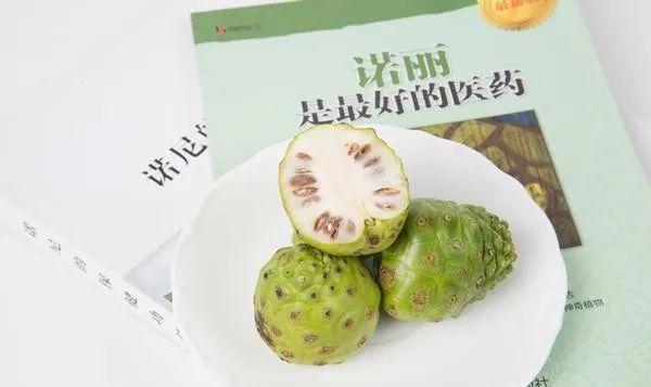 新鲜的诺丽果吃有什么好处,诺丽果是怎么样的水果