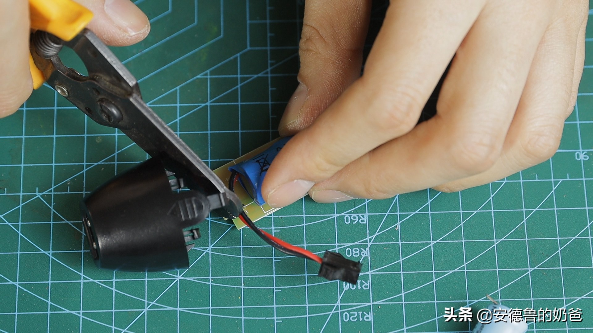 春日vlog完整版,春日vlog竖版