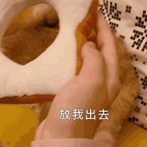 2018最全签证攻略,干货三分钟掌握各国签证申请要点