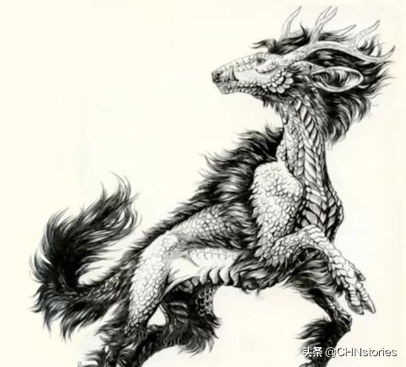 如果胯下的故事很精彩，那一定是关于坐骑的