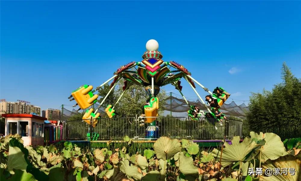 漯河人周日去哪玩,漯河人春节到哪玩