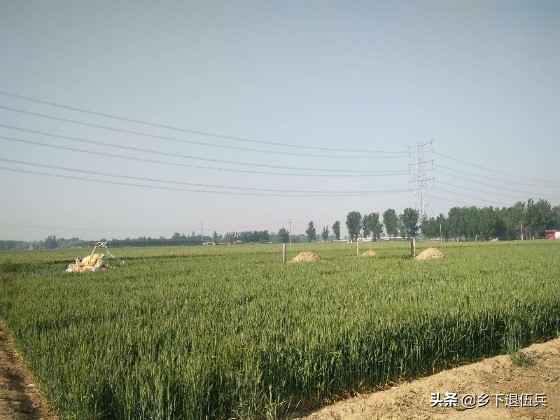 农村承包地里坟头多、难耕种,咋办?听听专业律师怎么说。