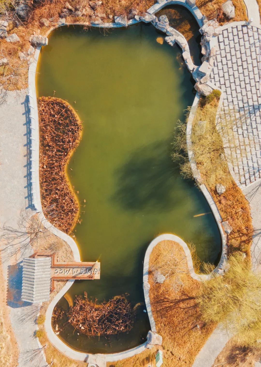 不一样的视角看电影,华谊兄弟济南电影小镇游览图