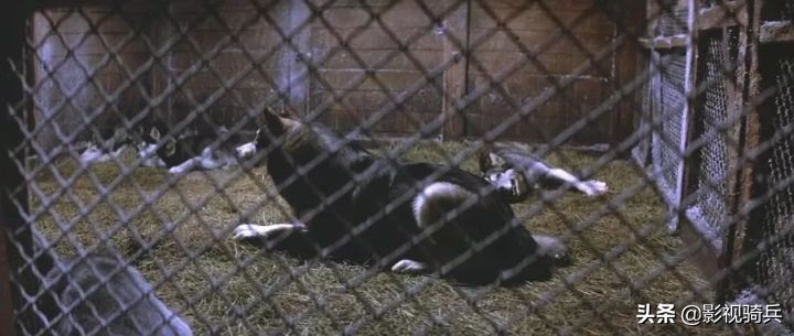 惊悚怪物经典电影,科幻惊悚恐怖电影大全