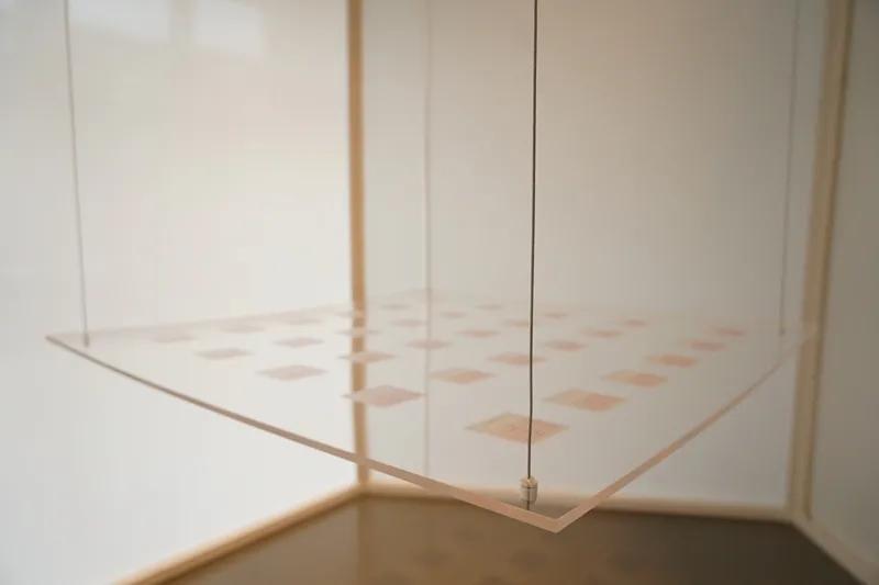 食物设计案例,健康饮食的设计意图