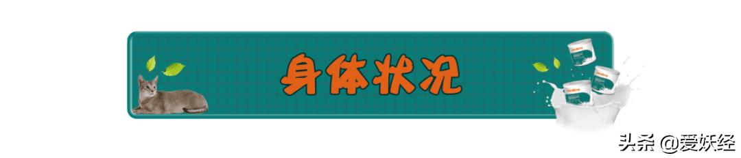 修正宠物羊奶粉测评,reddog红狗羊奶粉测评
