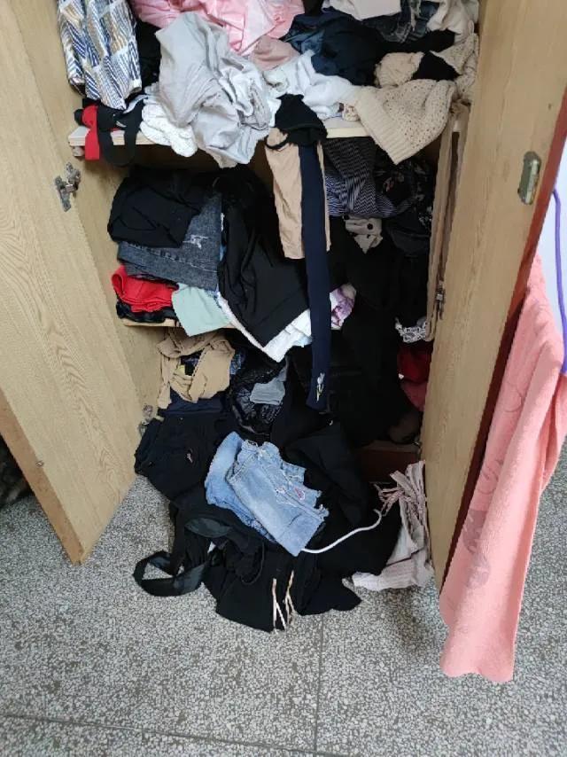 合租养猫劝退指南,《养猫劝退指南》