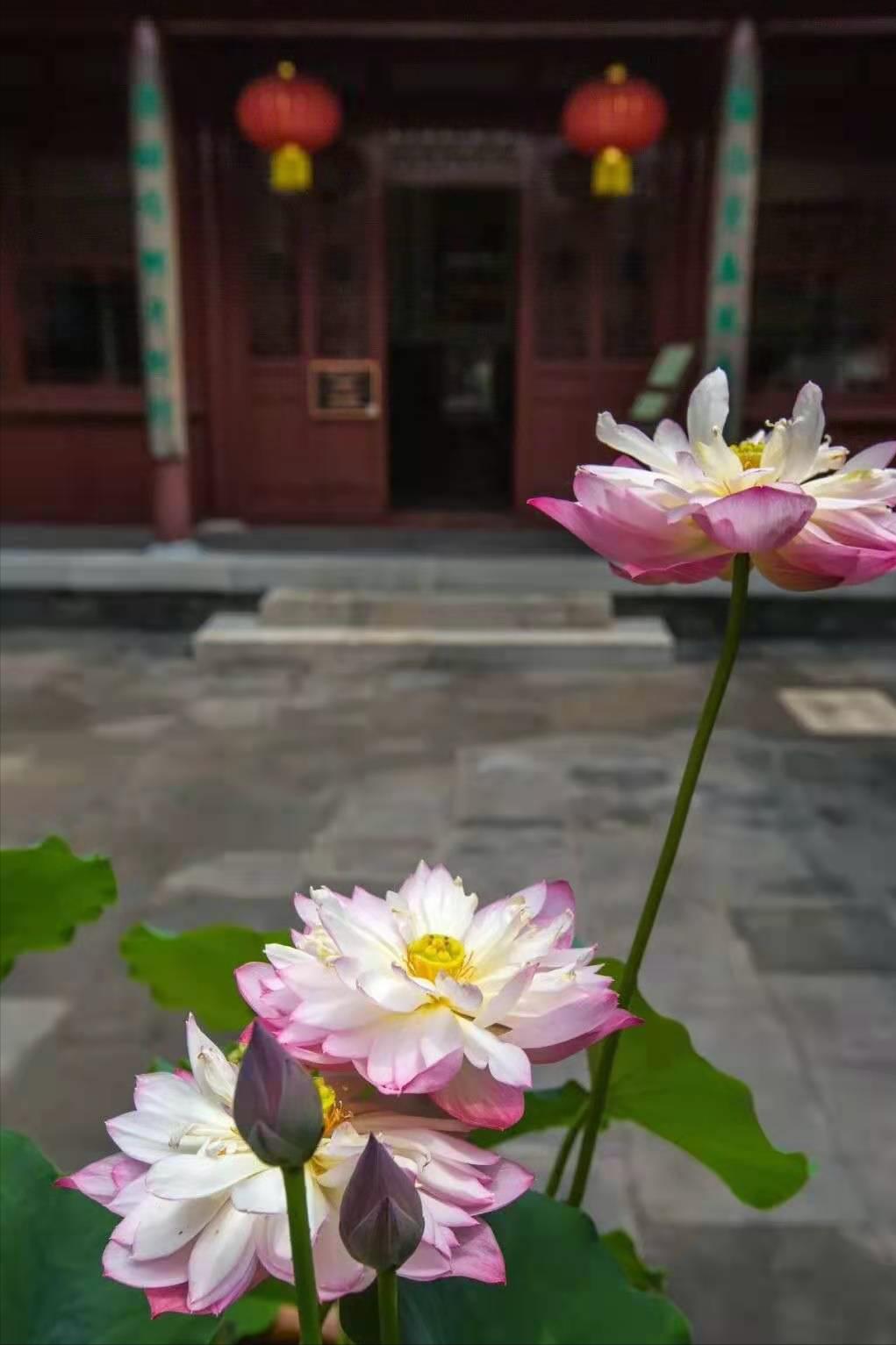 天津意式风情街名人故居,天津一处历史风貌建筑